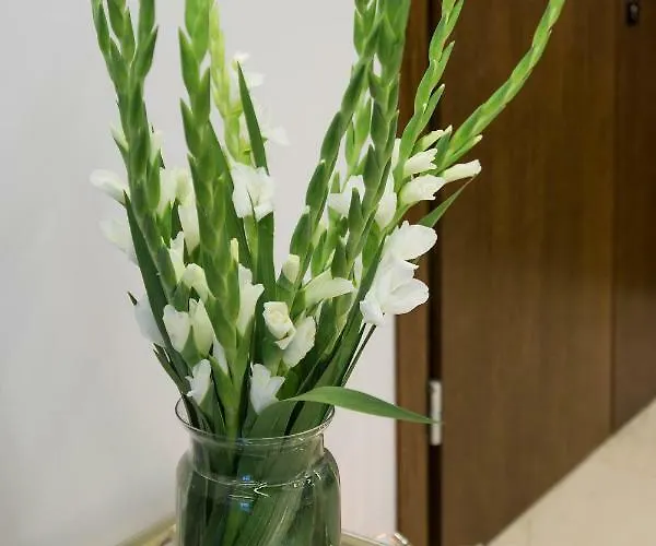 Stella & Szálloda 4*